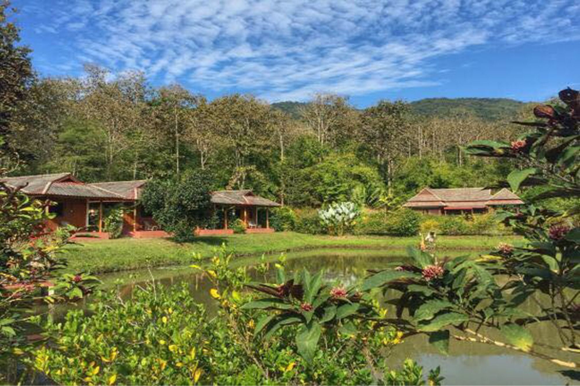 Noks Garden Resort Chiang Rai Ngoại thất bức ảnh