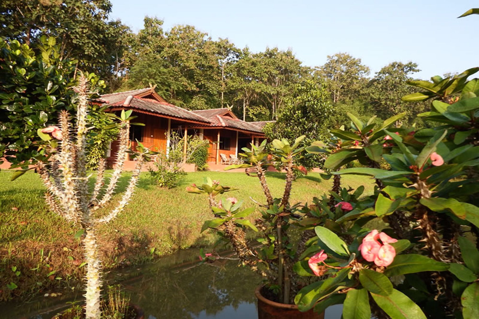 Noks Garden Resort Chiang Rai Ngoại thất bức ảnh
